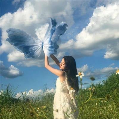 五月槐花香